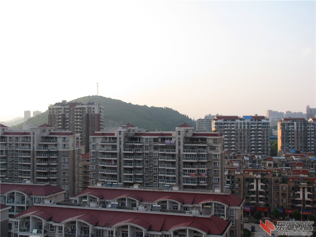 IMG_7310.JPG