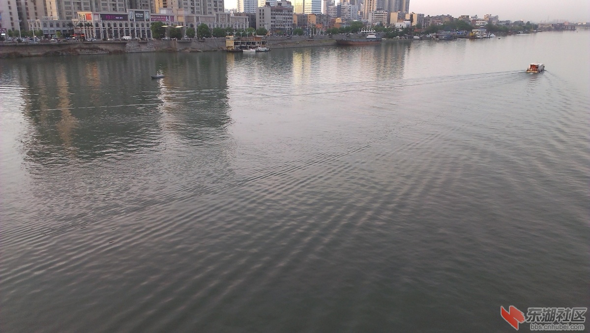 IMAG1355.JPG