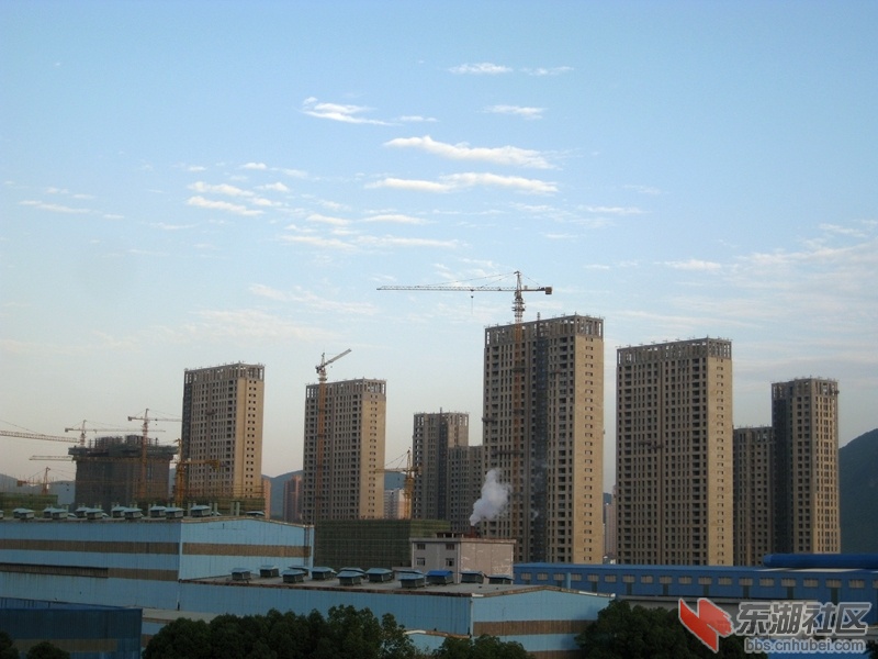 04.jpg