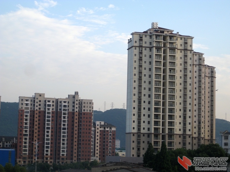 05.jpg