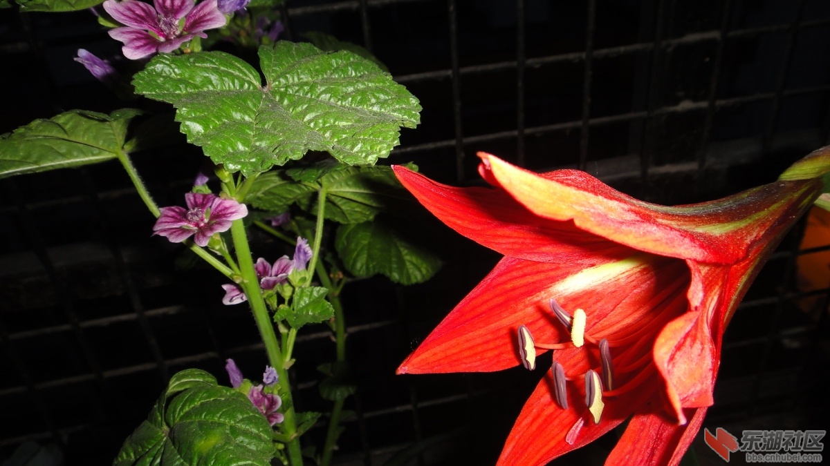 DSC07240.JPG