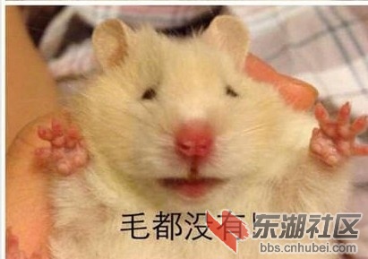 QQ图片20140320190234.jpg
