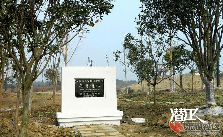章华台2.jpg