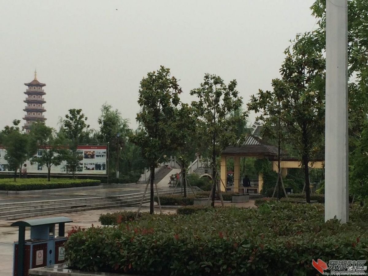 雨中梅苑3.jpg