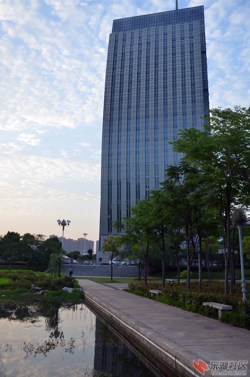 05.jpg