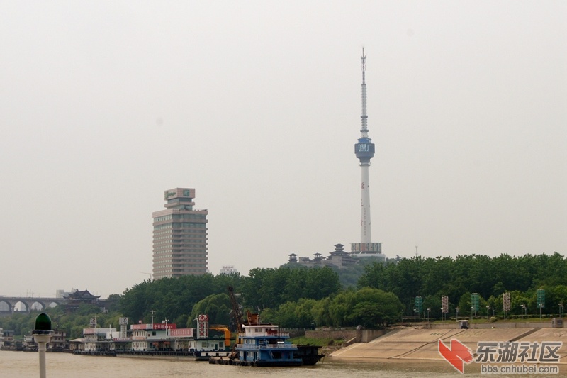 72.jpg