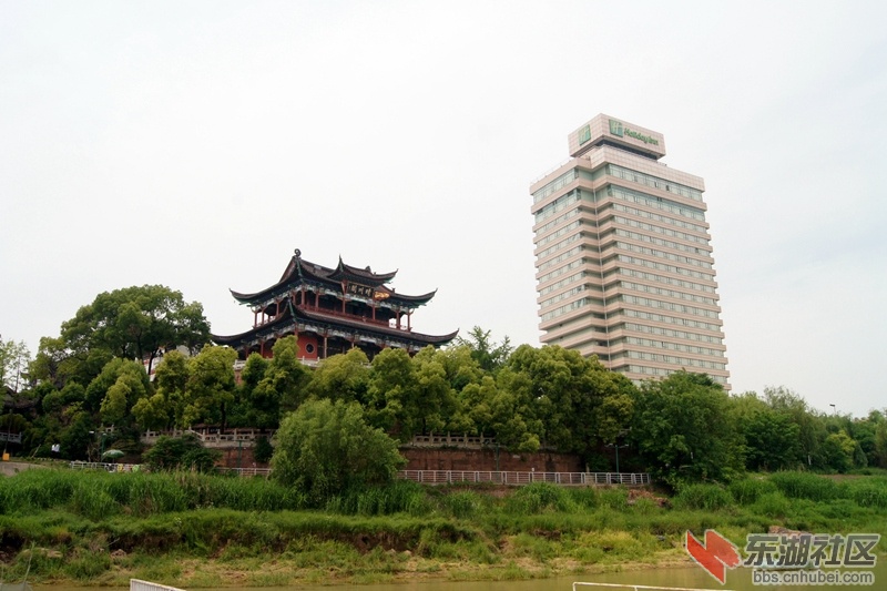 79.jpg