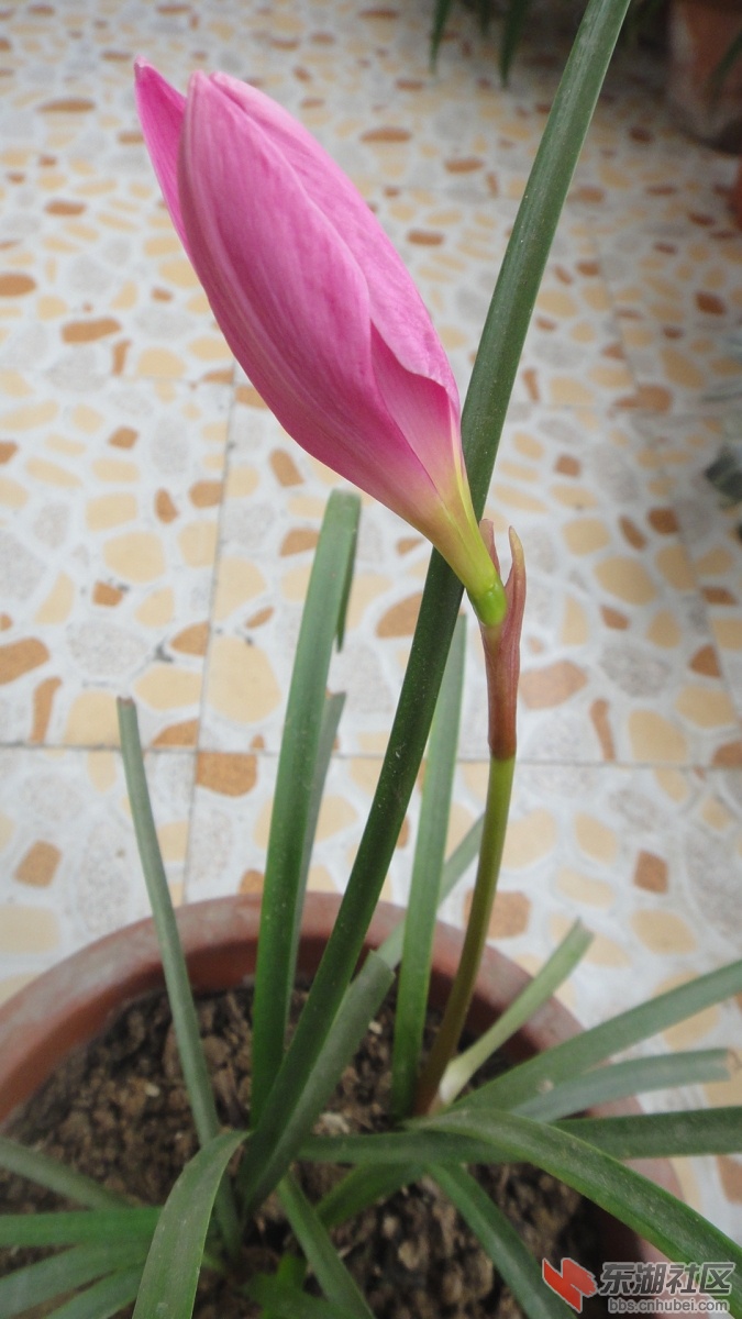 DSC07335.JPG