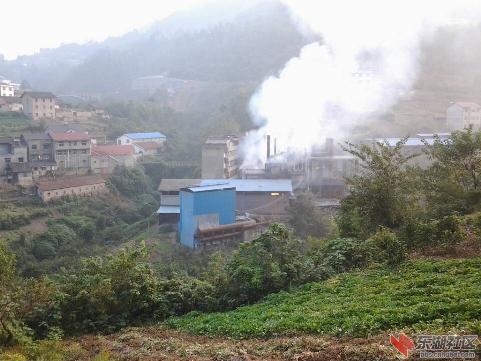 杨林桥镇硅厂