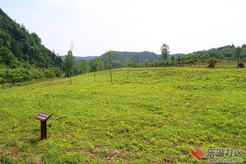IMG_4385_副本.jpg