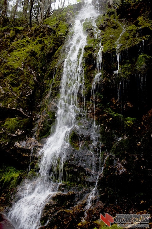 IMG_7286.jpg