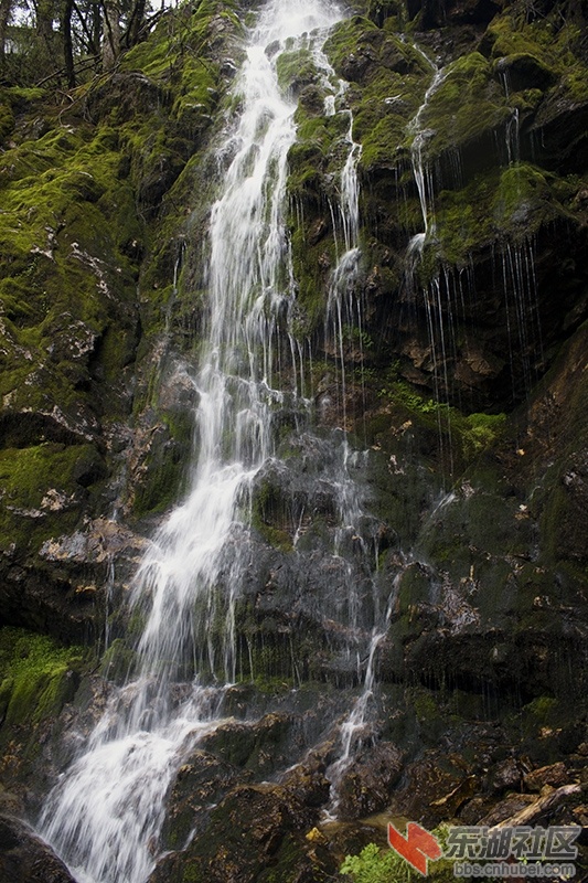 IMG_7287.jpg