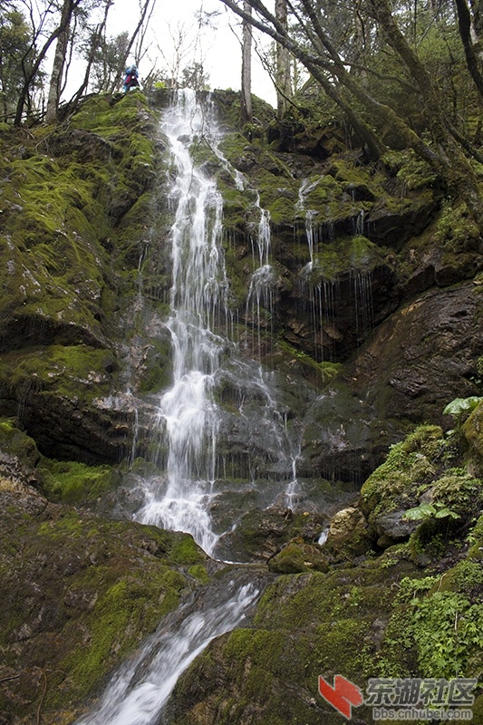 IMG_7288.jpg