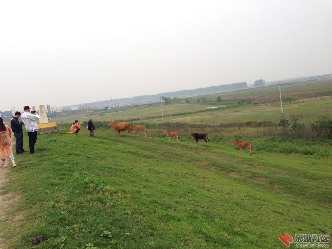 QQ图片20140521093651.jpg