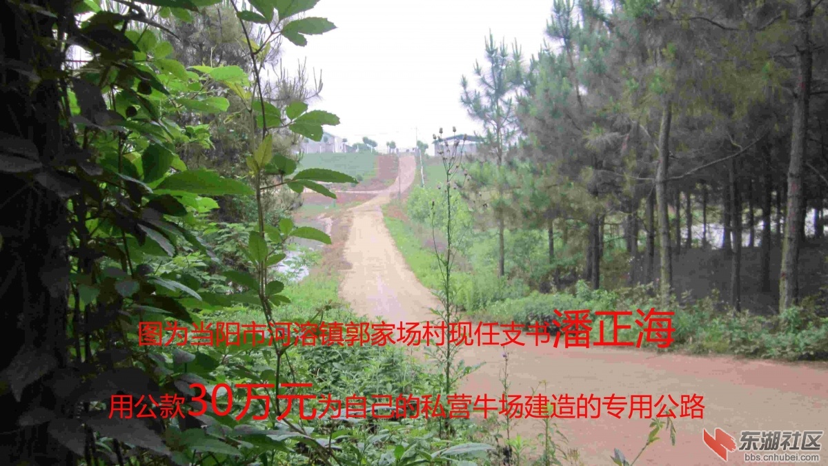 专用公路.jpg
