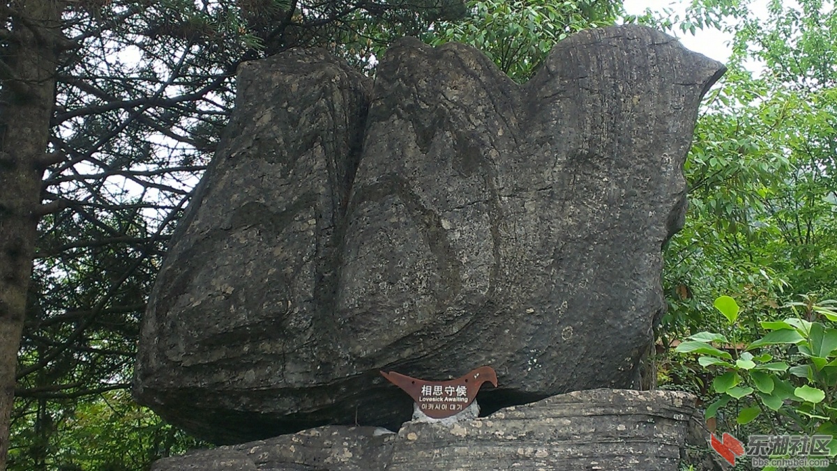 psb56789.jpg