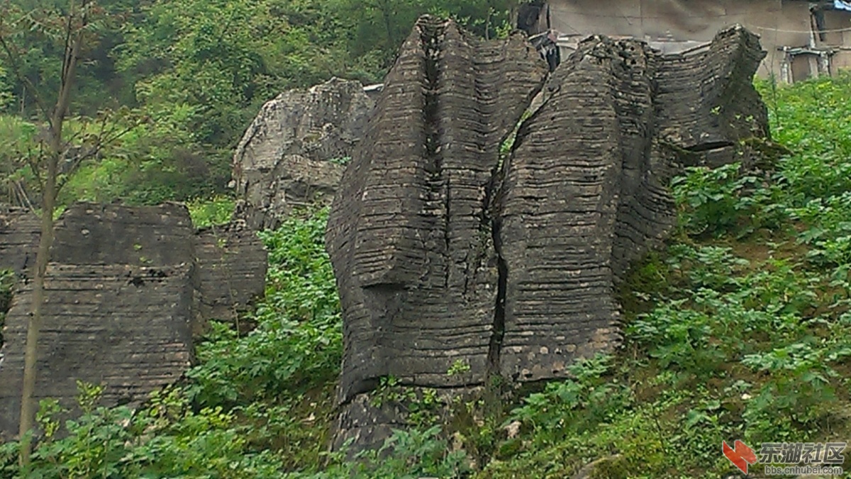 psbCAOJHB37.jpg