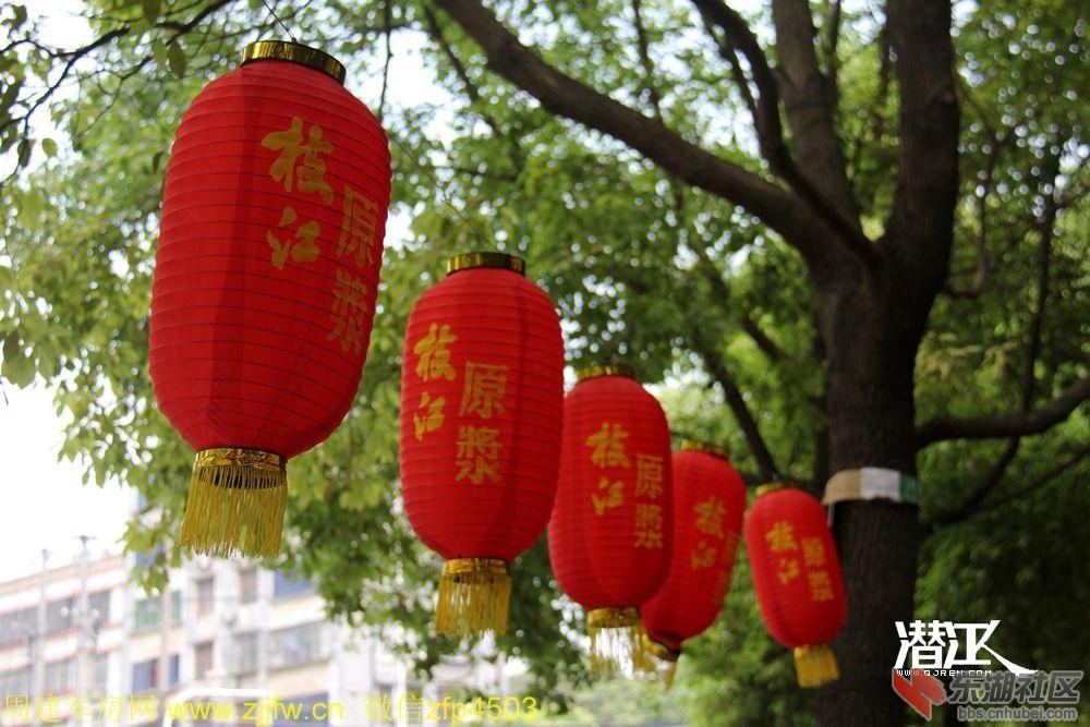 龙虾节灯笼7.jpg