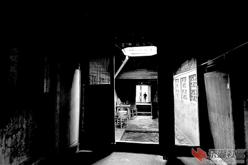 12009858_103685.jpg
