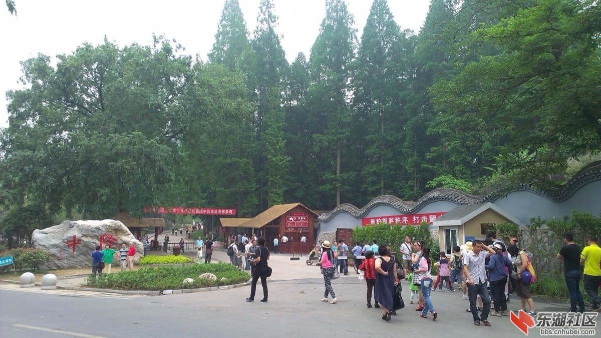 IMAG2162.jpg