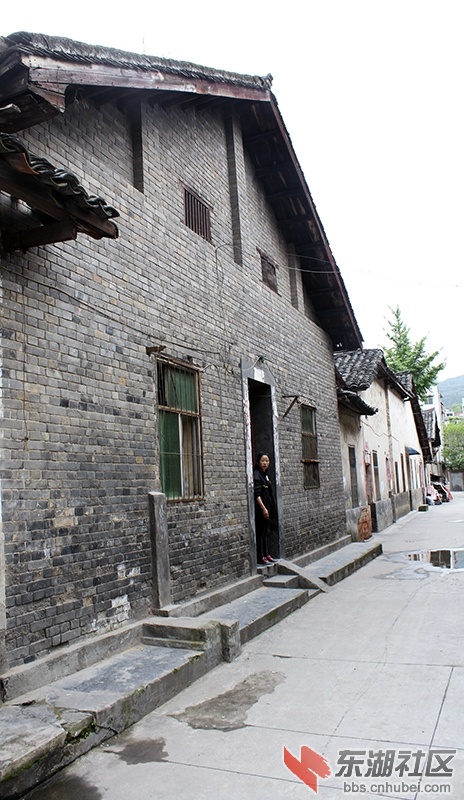 IMG_6855.jpg