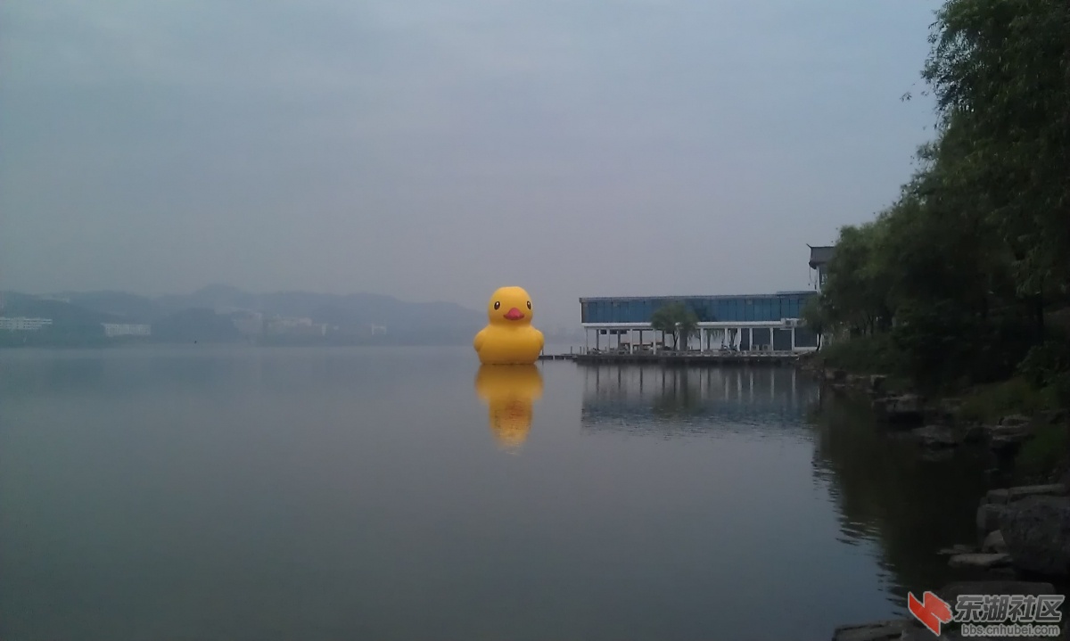 IMAG0175.jpg