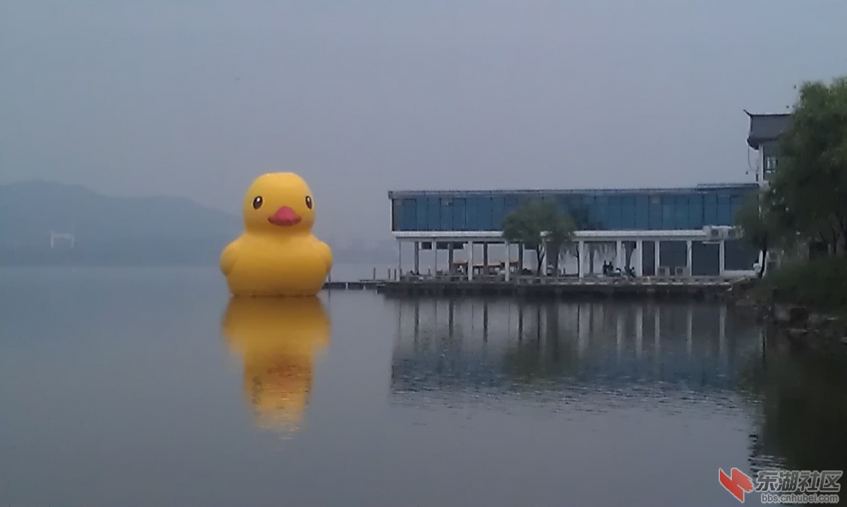 IMAG0177.jpg