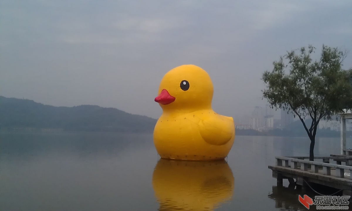 IMAG0180.jpg
