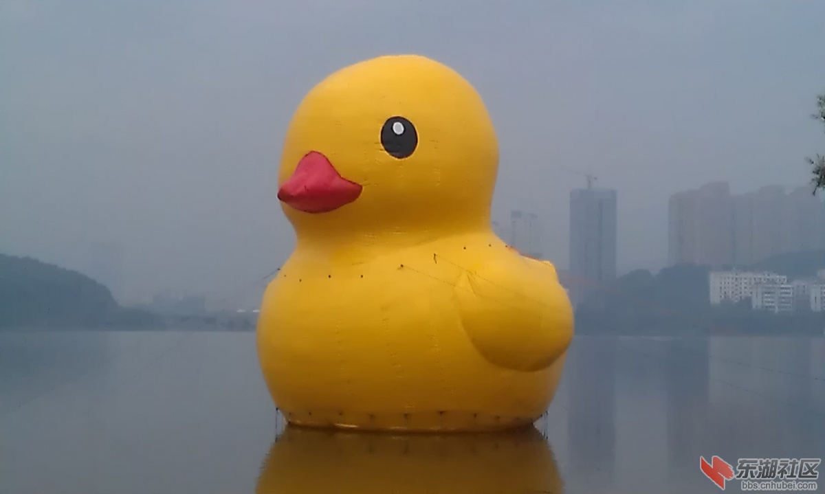IMAG0178.jpg