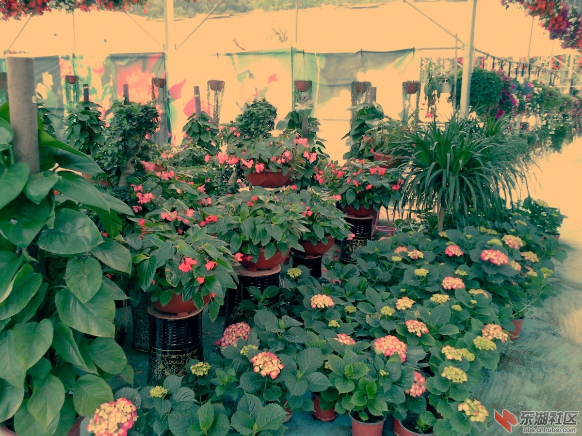 20140525_094541_副本.jpg