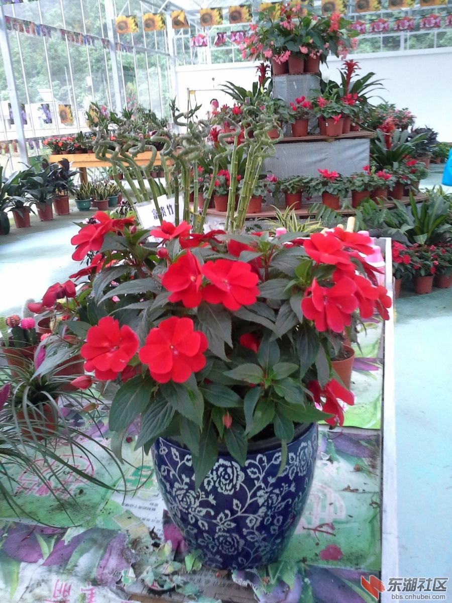 20140525_093940_副本.jpg