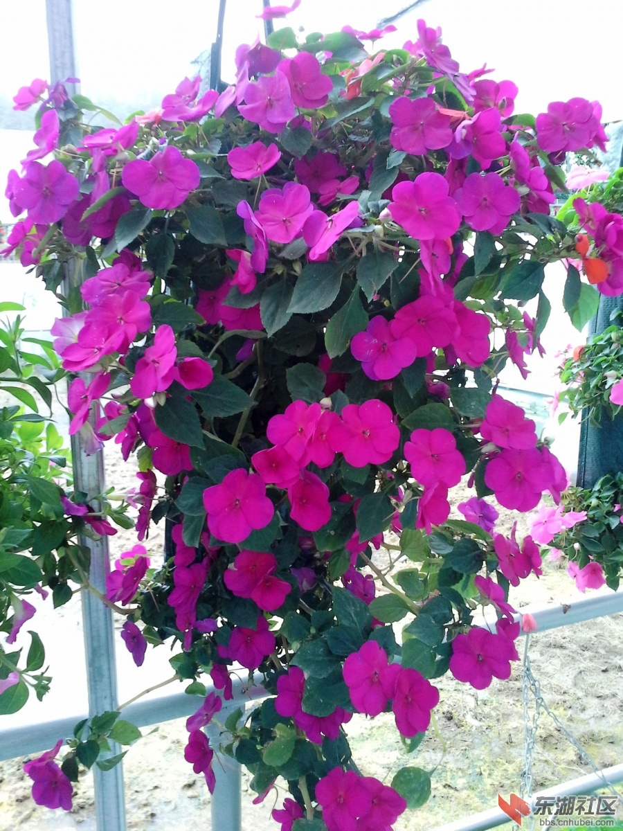 20140525_094445_副本.jpg