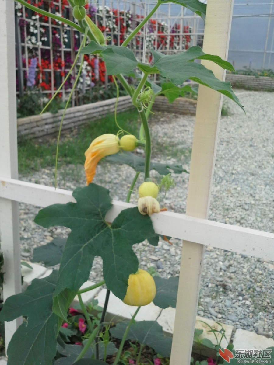 20140525_101405_副本.jpg