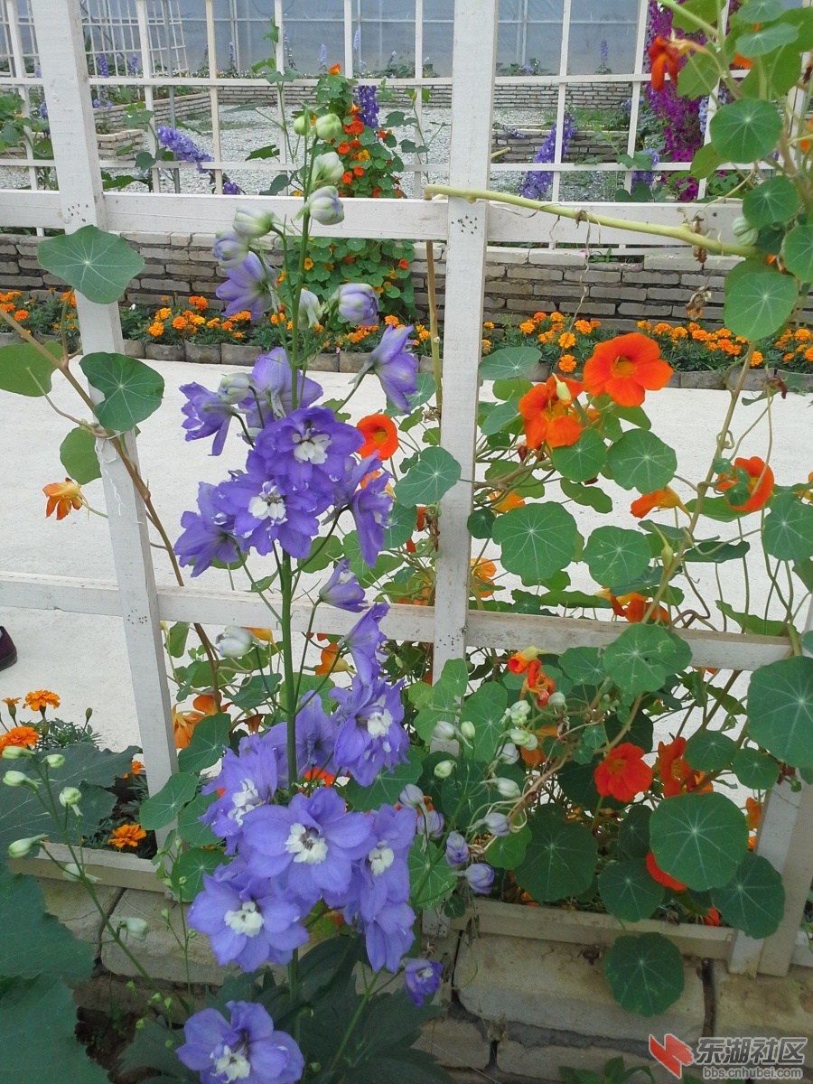 20140525_102854_副本.jpg