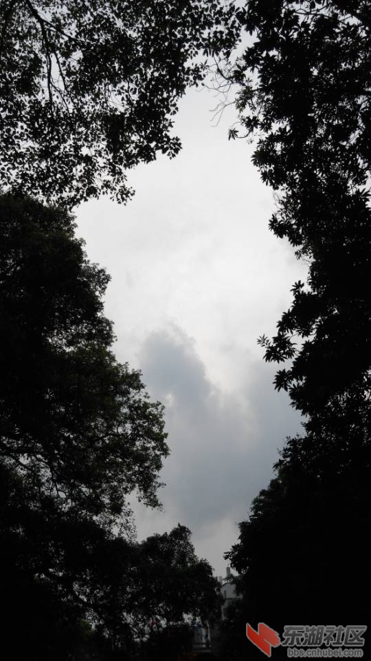 197744698-43cf0339f2fe6618.jpg