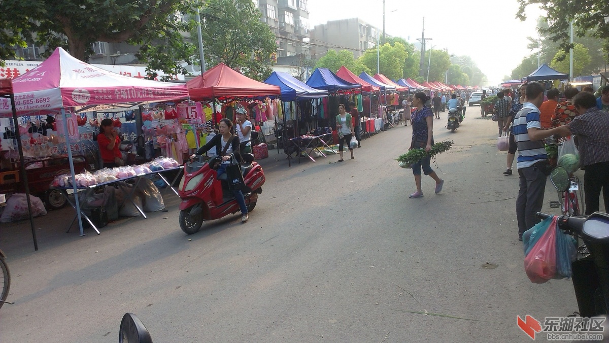 IMAG2249.jpg