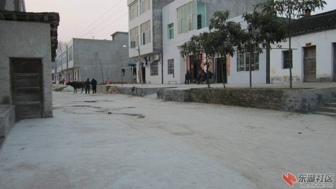 psb (2).jpg