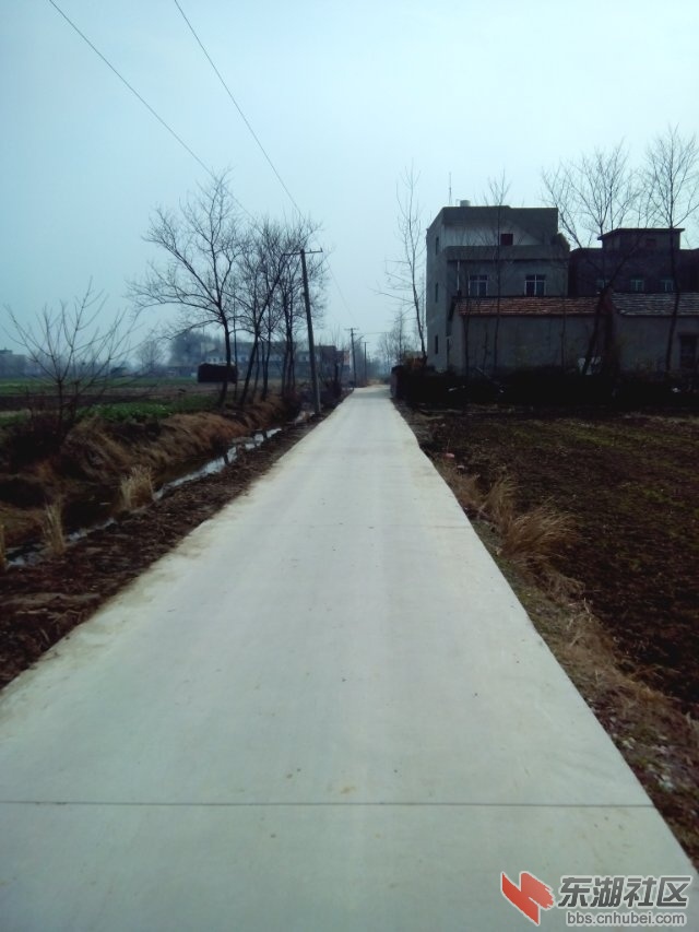 psb (9).jpg