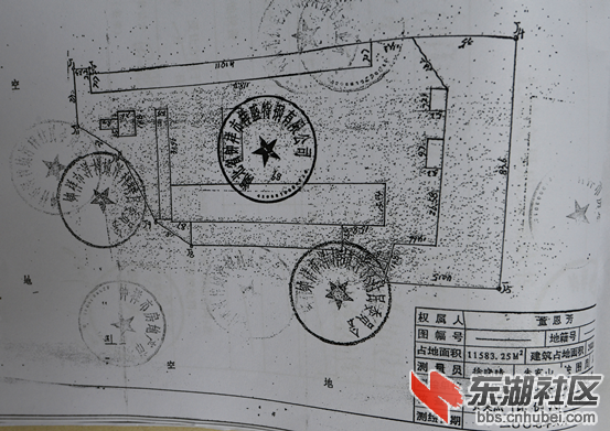 楚龙稿  2014.6.5-2819.png