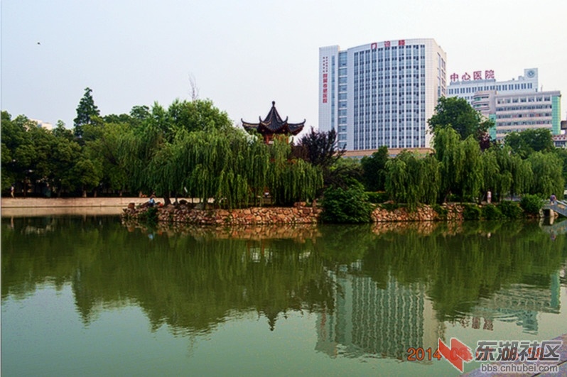 DSC_2478_副本.jpg