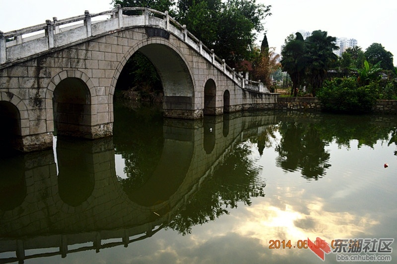 孝感后湖公园3.jpg