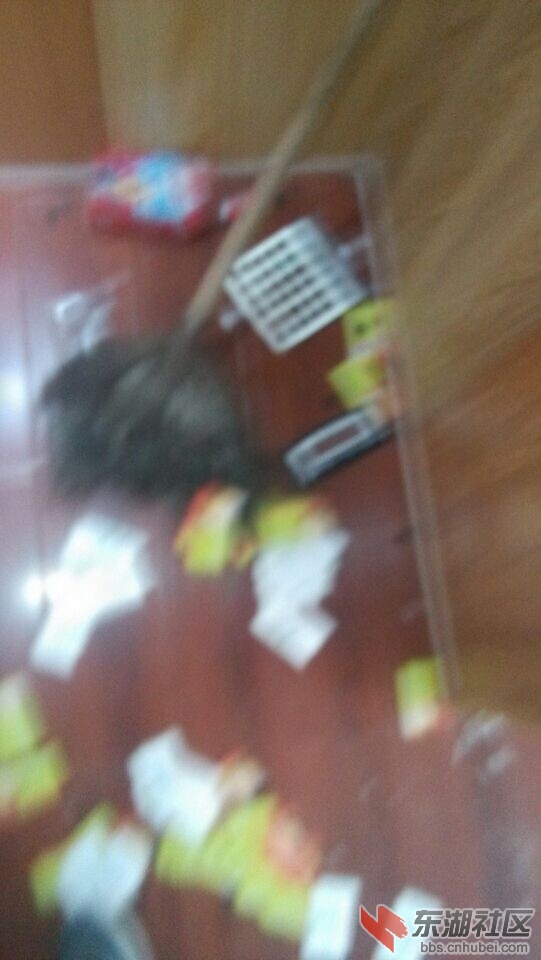 QQ图片20140611100645.jpg