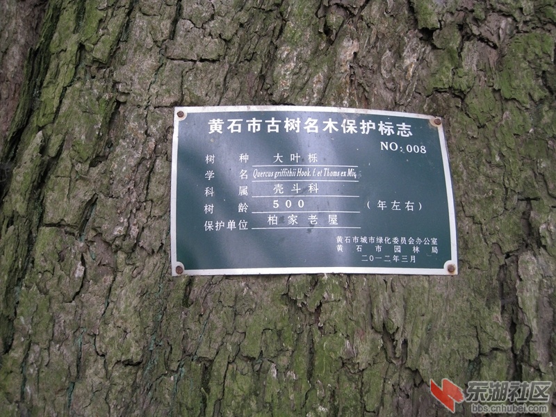05.jpg