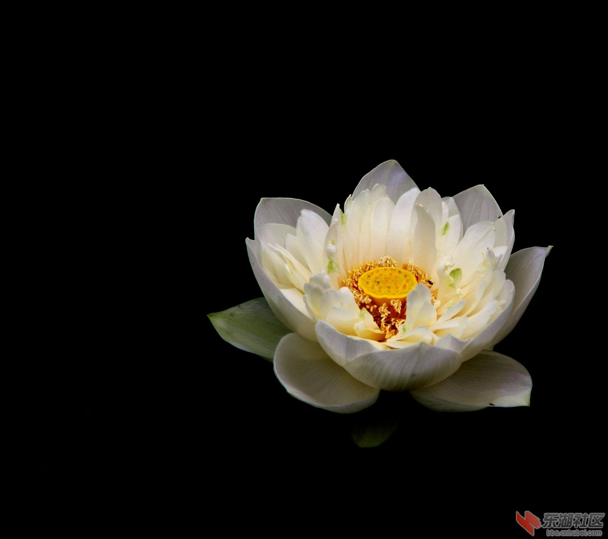 IMG_6420_副本.jpg