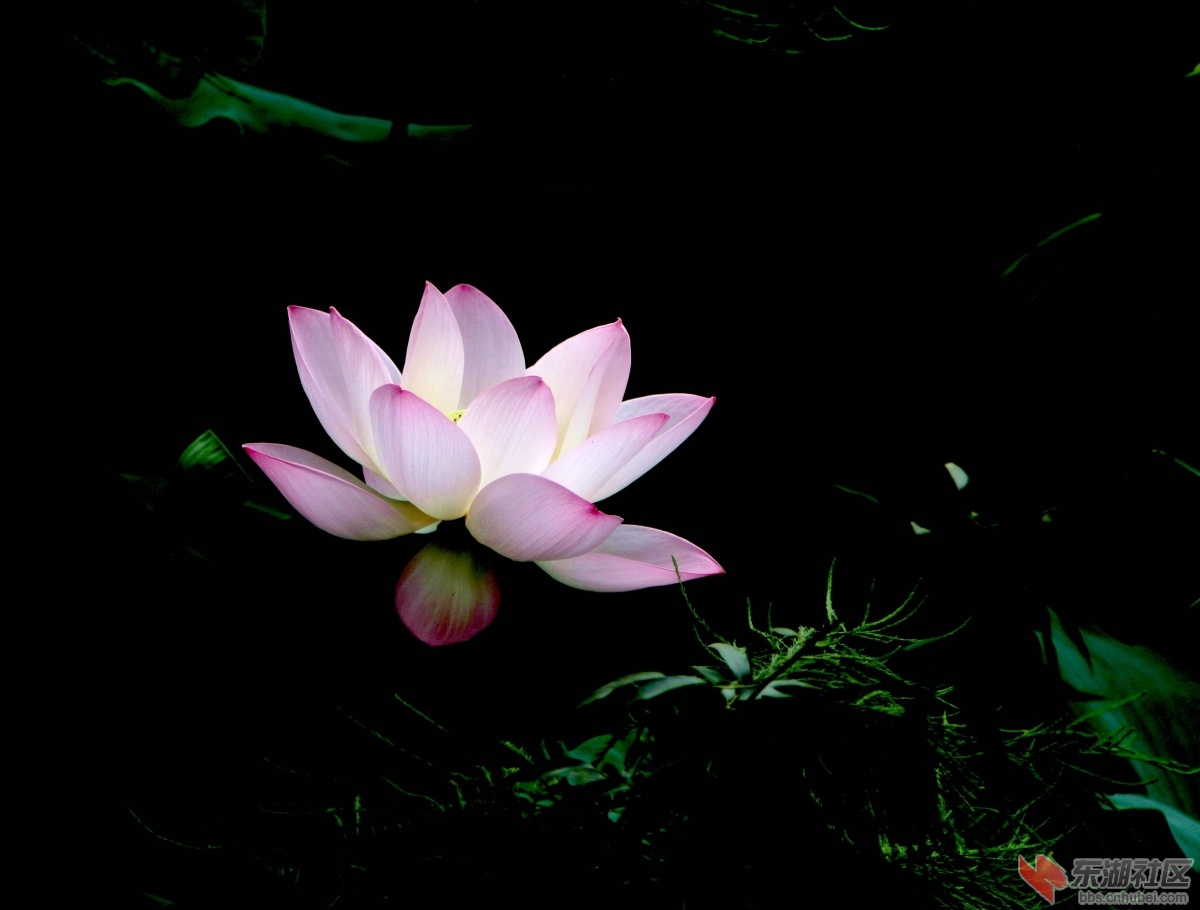 IMG_6446_副本.jpg