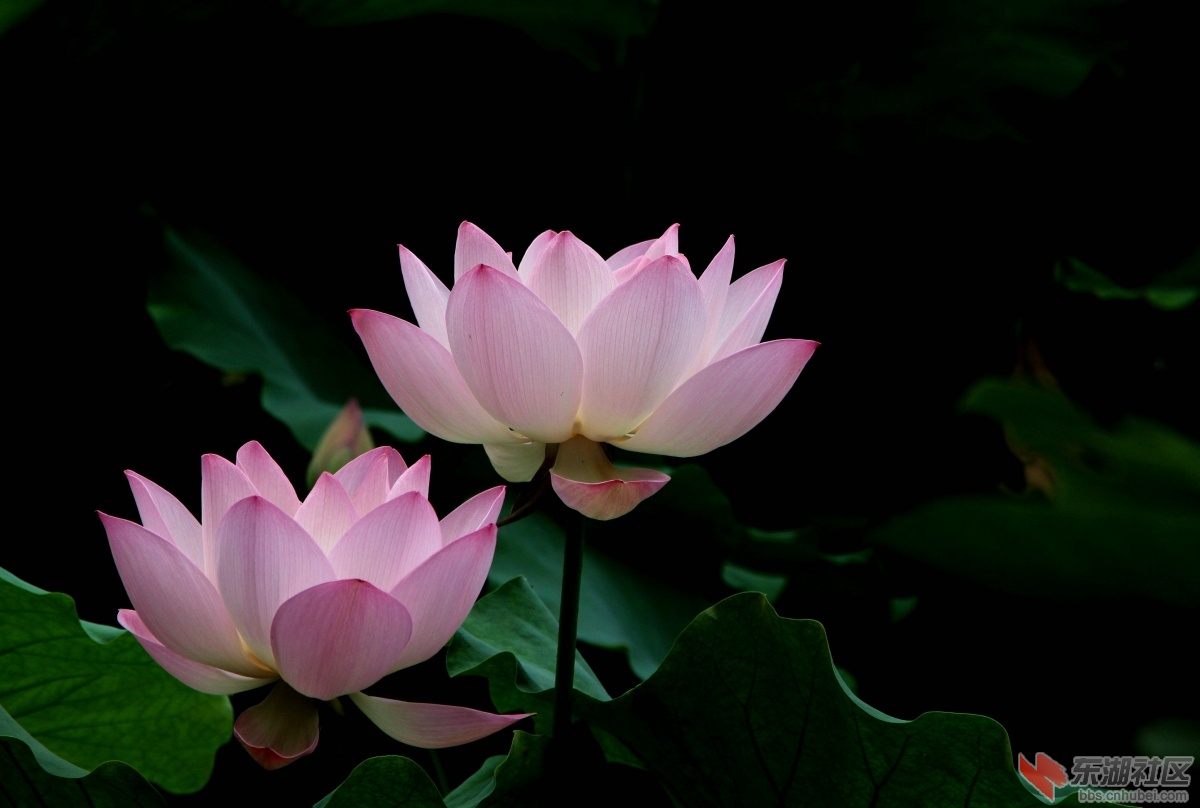 IMG_6466_副本.jpg
