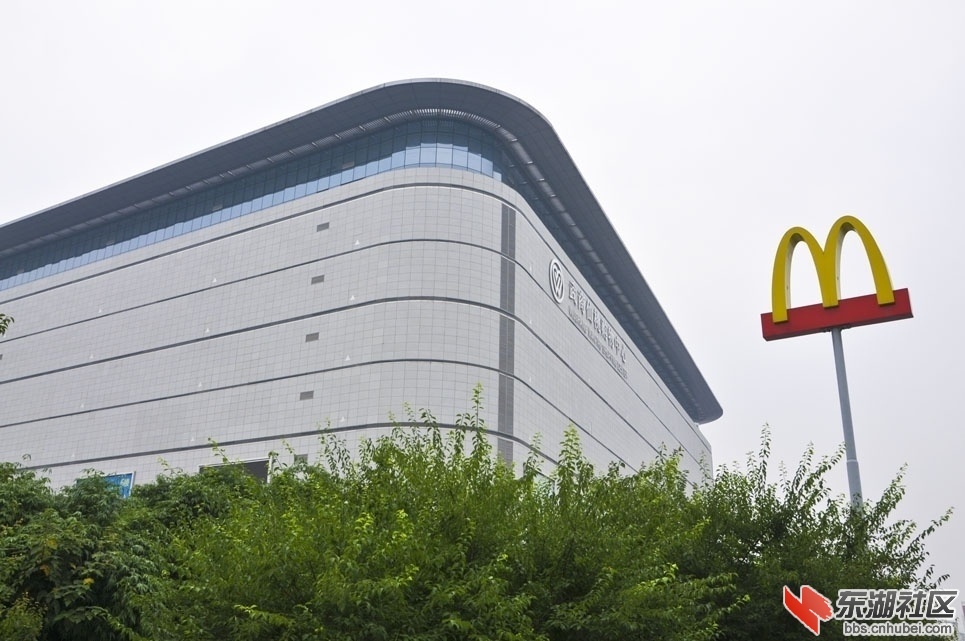 123.jpg