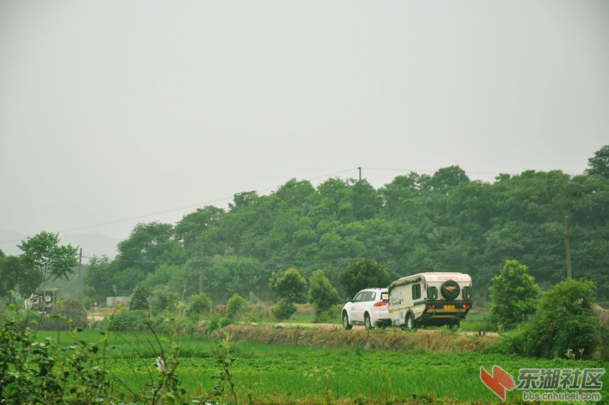 DSC_0156_副本.jpg