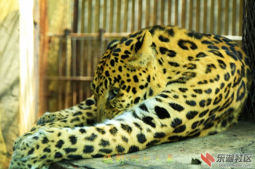 9544.jpg