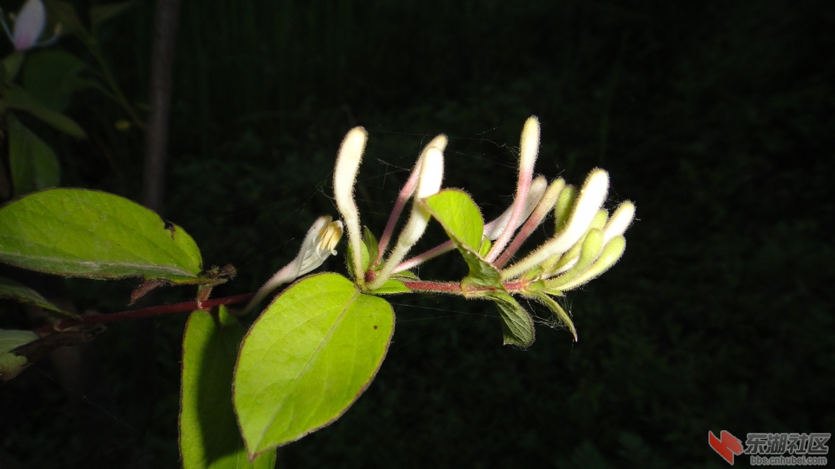 DSC06839.JPG